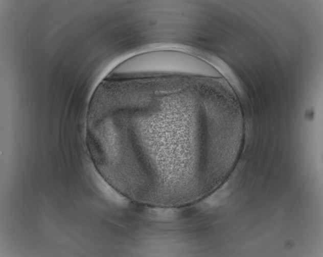 X0000092211244200709281016