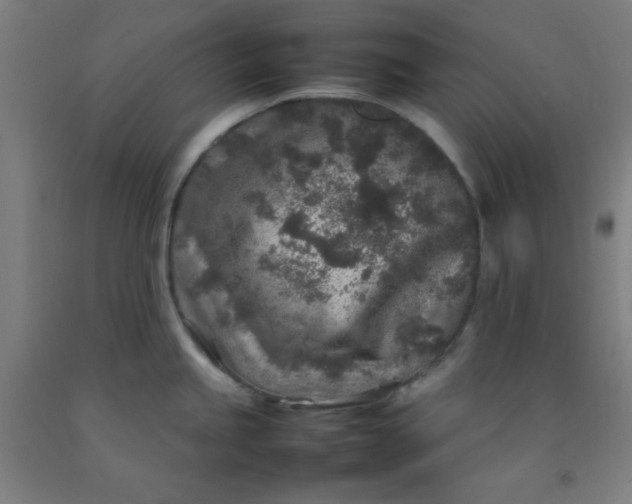 X0000092211245200709281016