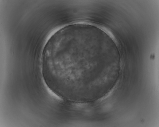 X0000092211247200709281016