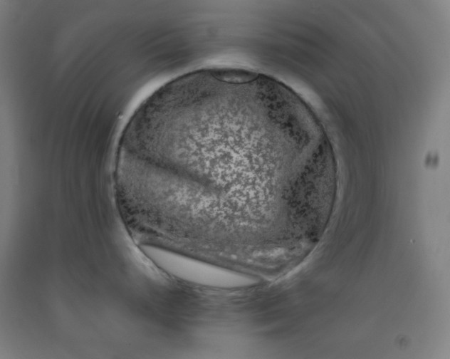 X0000092211248200709281016