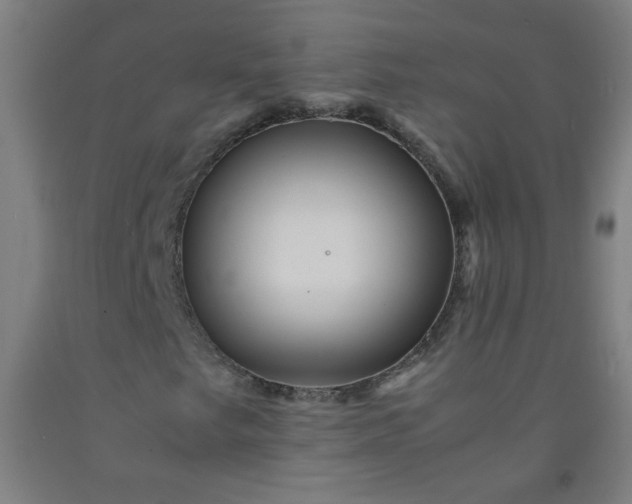 X0000092211249200709281015