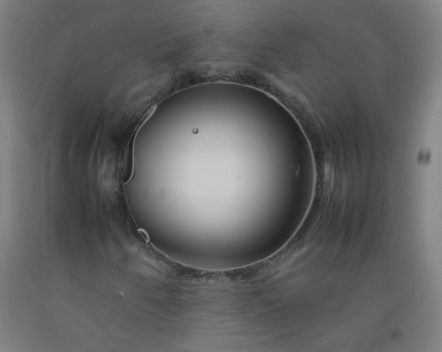 X0000092211250200709281015