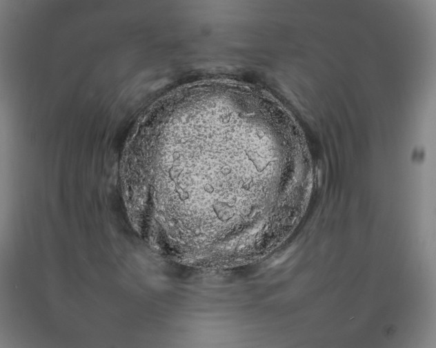 X0000092211251200709281015