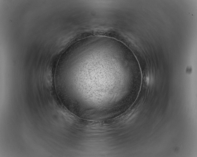 X0000092211252200709281015