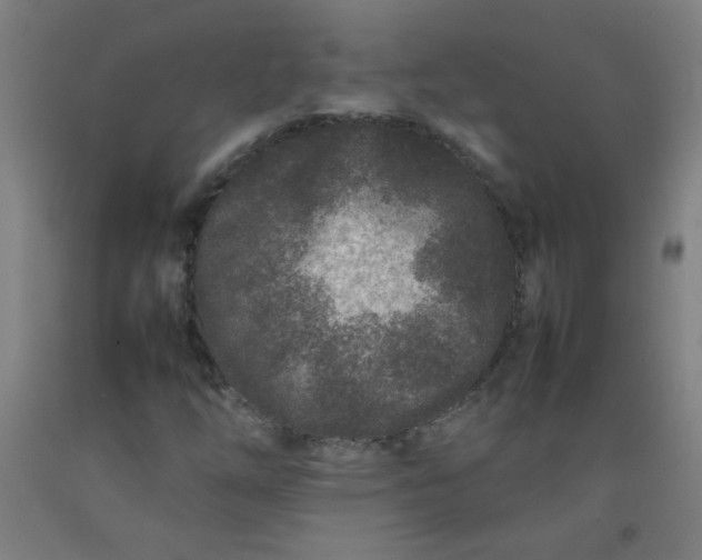 X0000092211254200709281015