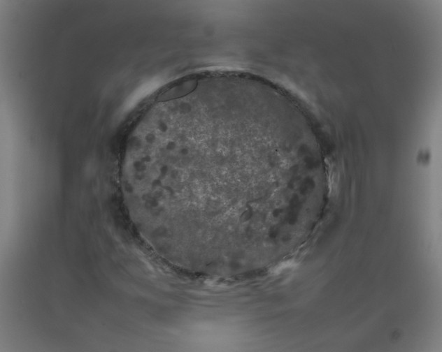 X0000092211255200709281015