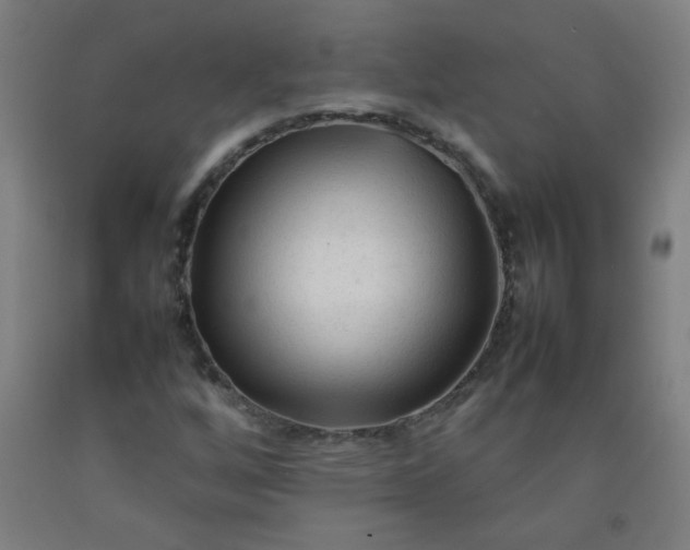 X0000092211256200709281015