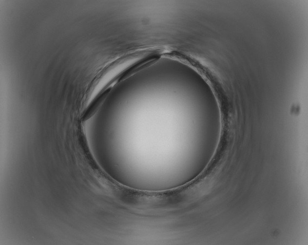 X0000092211257200709281015