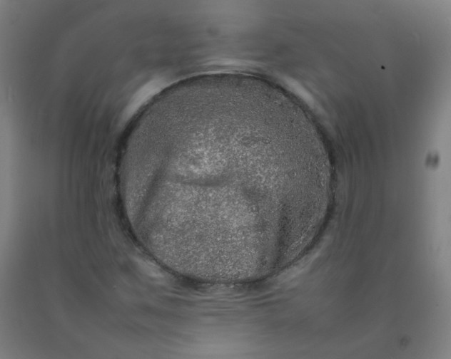 X0000092211259200709281015