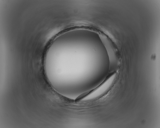 X0000092211261200709281015