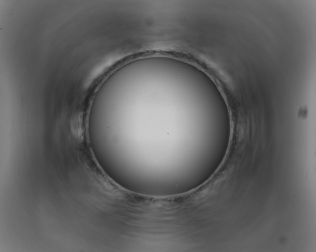 X0000092211262200709281015