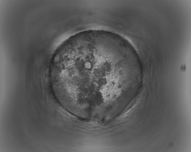 X0000092211263200709281015