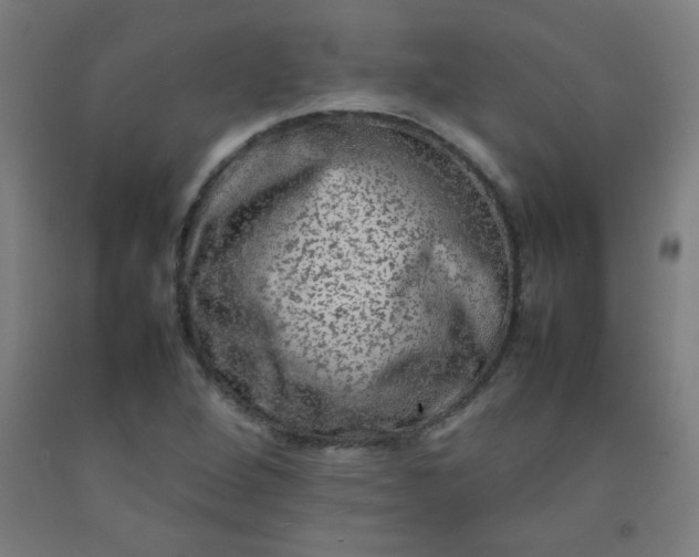 X0000092211264200709281015