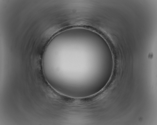 X0000092211265200709281015