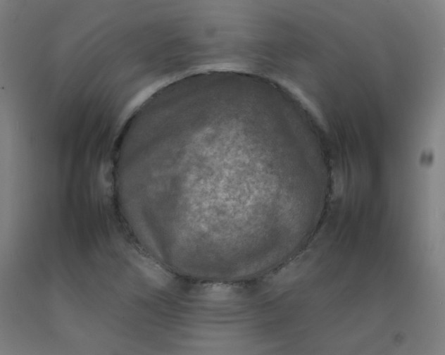 X0000092211266200709281015