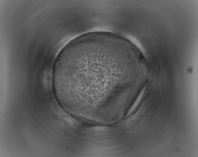 X0000092211268200709281015