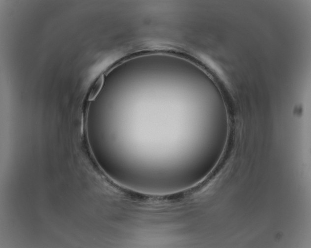 X0000092211269200709281015