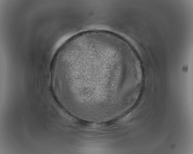 X0000092211271200709281015