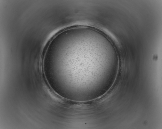 X0000092211272200709281015