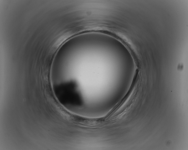 X0000092211273200709281015