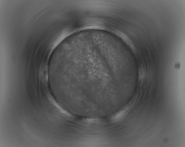 X0000092211274200709281015