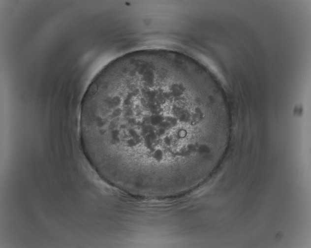 X0000092211275200709281015