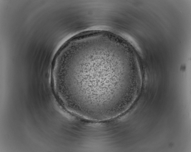 X0000092211276200709281015