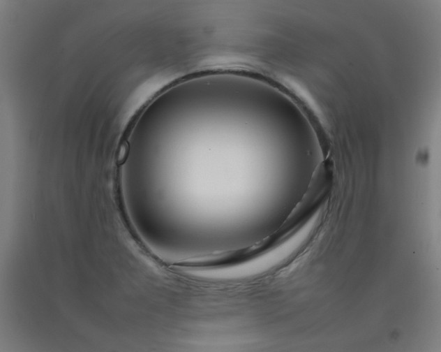 X0000092211277200709281015