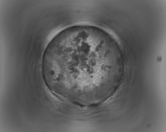 X0000092211279200709281015