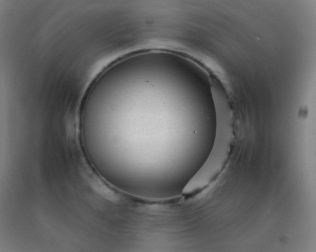 X0000092211280200709281015