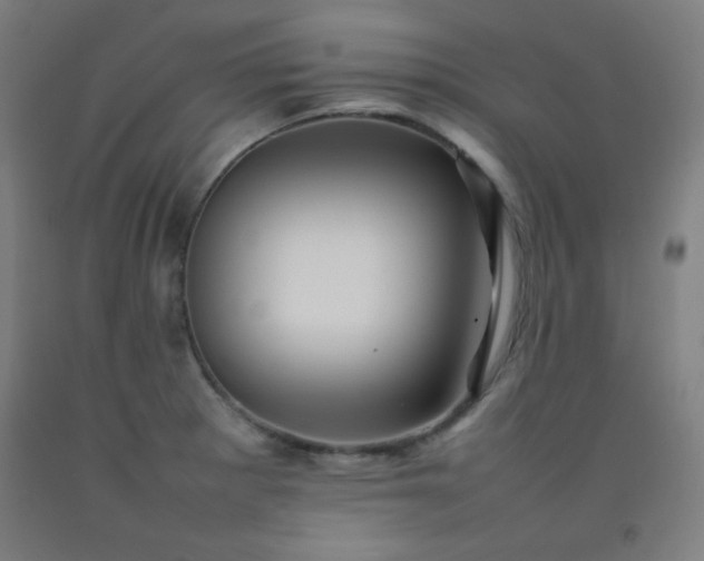 X0000092211281200709281015