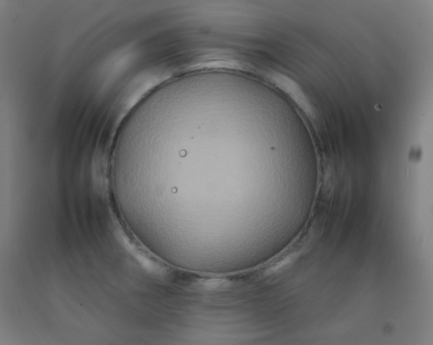 X0000092211282200709281015