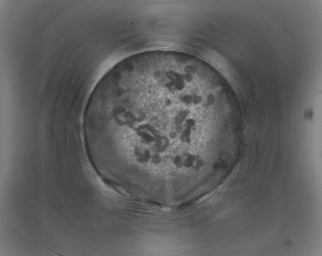 X0000092211283200709281015