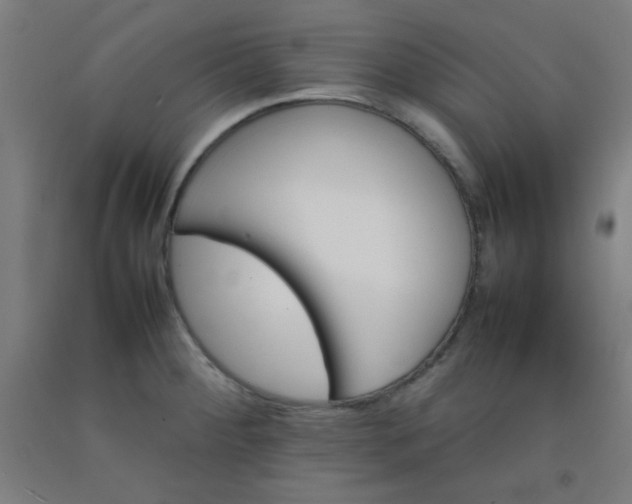 X0000092211284200709281015