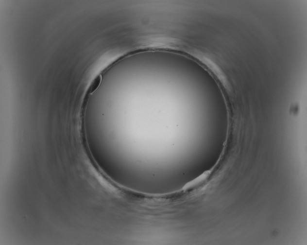 X0000092211285200709281015