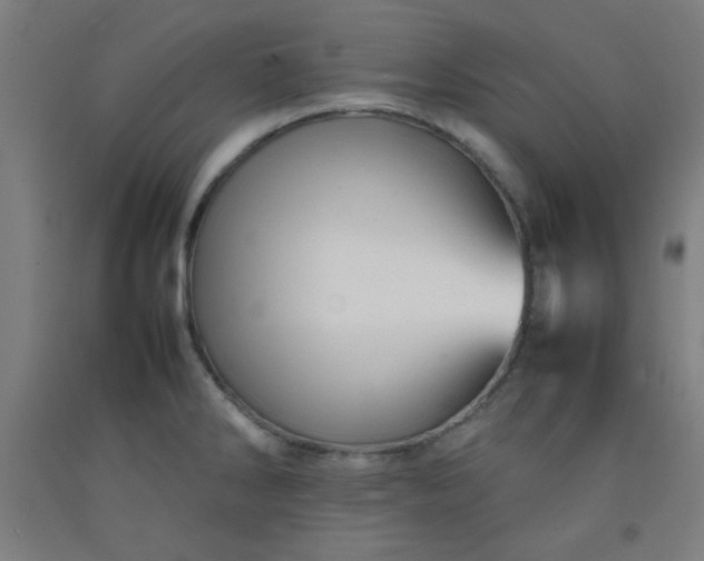 X0000092211286200709281015