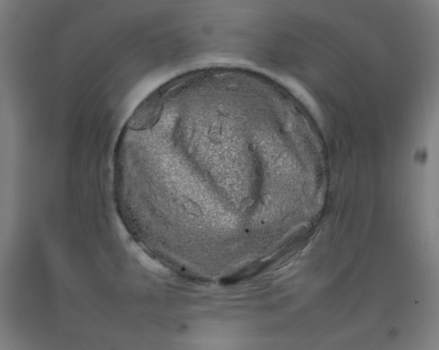 X0000092211287200709281015