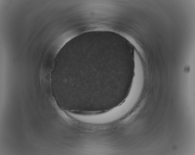 X0000092211289200709281015