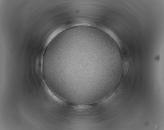 X0000092211290200709281015