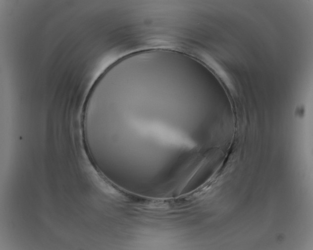 X0000092211291200709281015