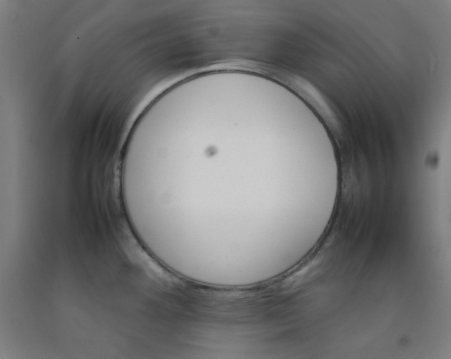 X0000092211292200709281015