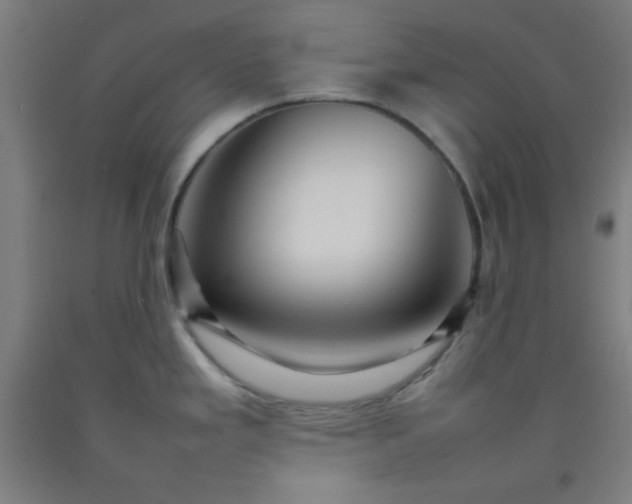 X0000092211293200709281015