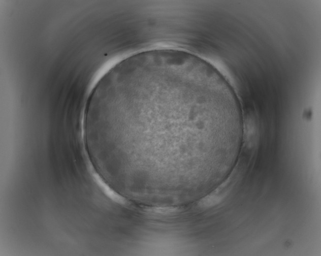 X0000092211294200709281015