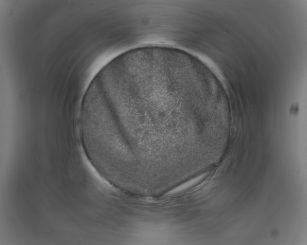 X0000092211295200709281015