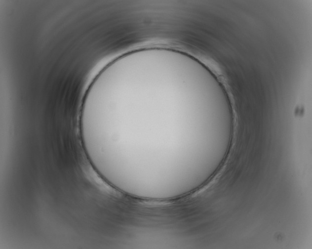 X0000092211296200709281015