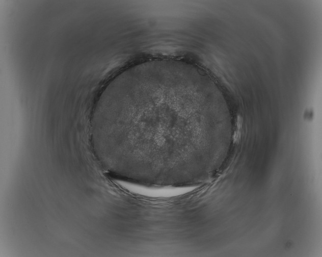 X0000092211297200709281014