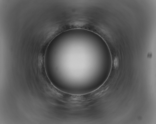 X0000092211299200709281014