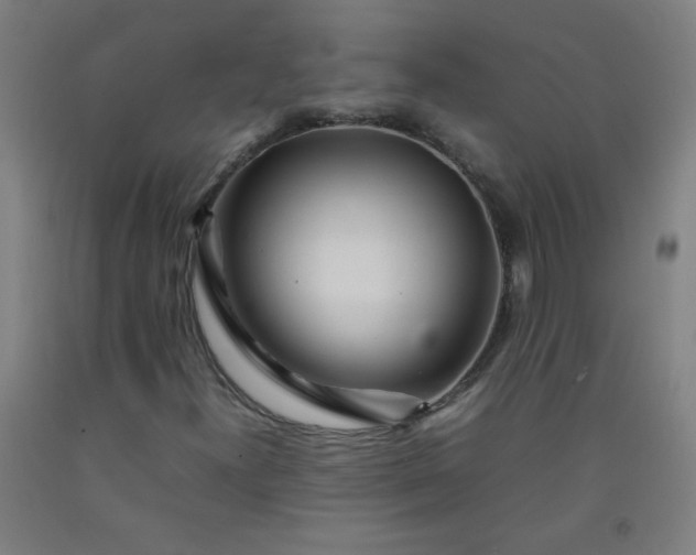 X0000092211300200709281014