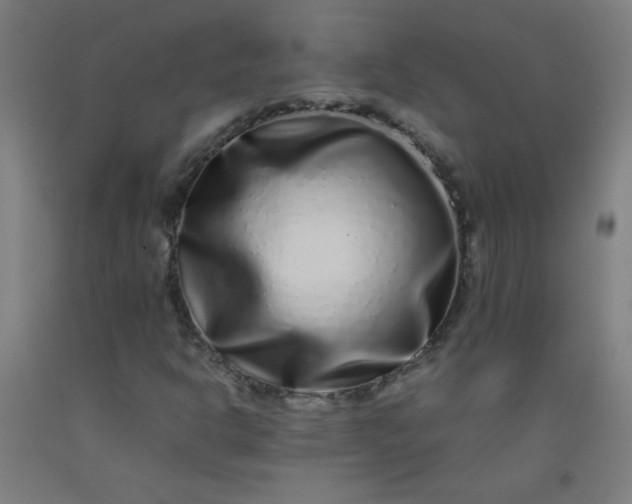 X0000092211302200709281014