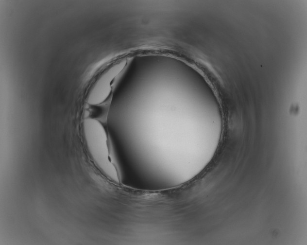 X0000092211304200709281014